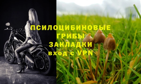 стафф Баксан
