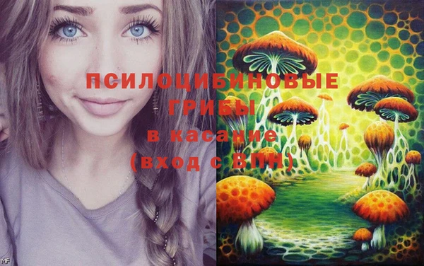гашик Балабаново