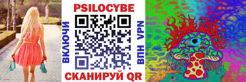 цены   Гай  Галлюциногенные грибы Psilocybe 